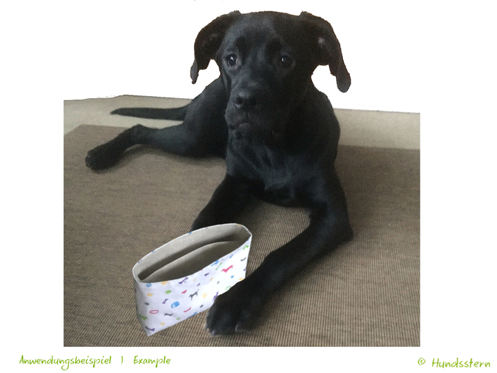 Verra Tascheneinsatz Leckerli, gefüttert, Anleitung+Schnitt