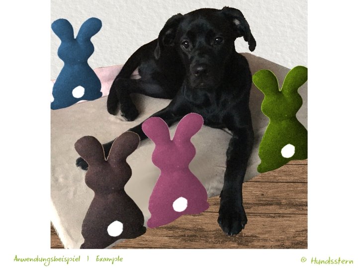 CONY (Easter) Bunny, Toy, Pillow, Sewing Pattern