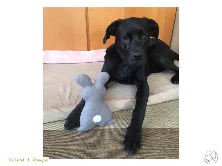 CONY (Easter) Bunny, Toy, Pillow, Sewing Pattern