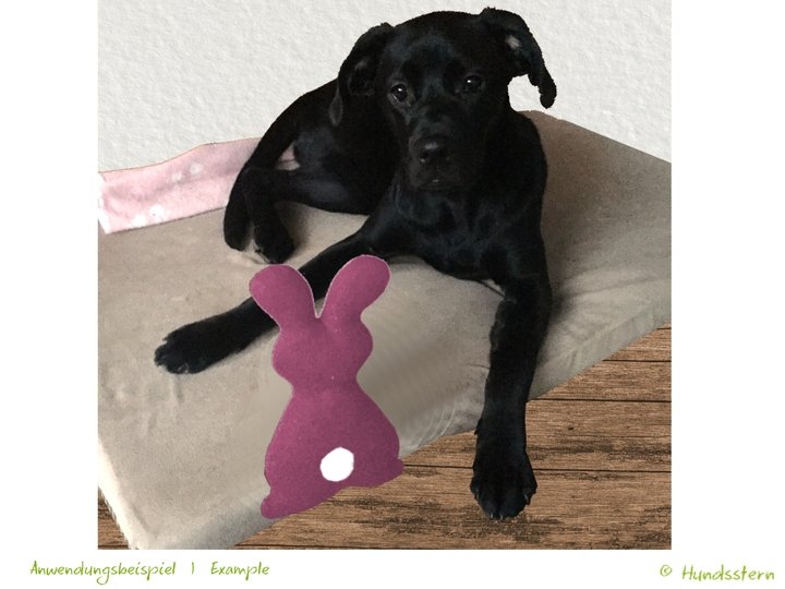 CONY (Oster)Hase Spielzeug, Kissen, Anleitung + Schnitt