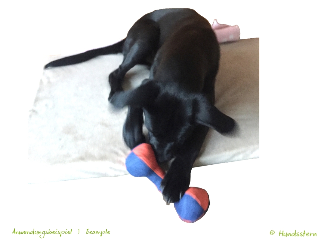 SAMMIE Dumbbell, Toy and Training, Sewing Pattern - Image 12