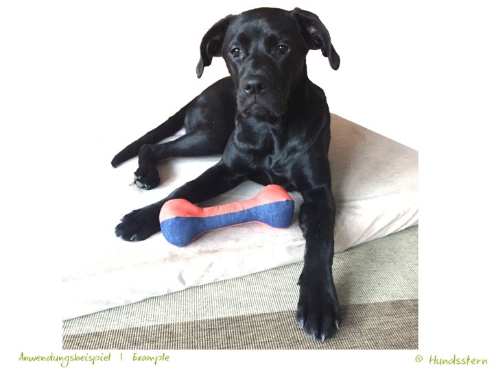 SAMMIE Dumbbell, Toy and Training, Sewing Pattern