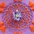 Häkelanleitung Tisch + Wand Sternen Mandala