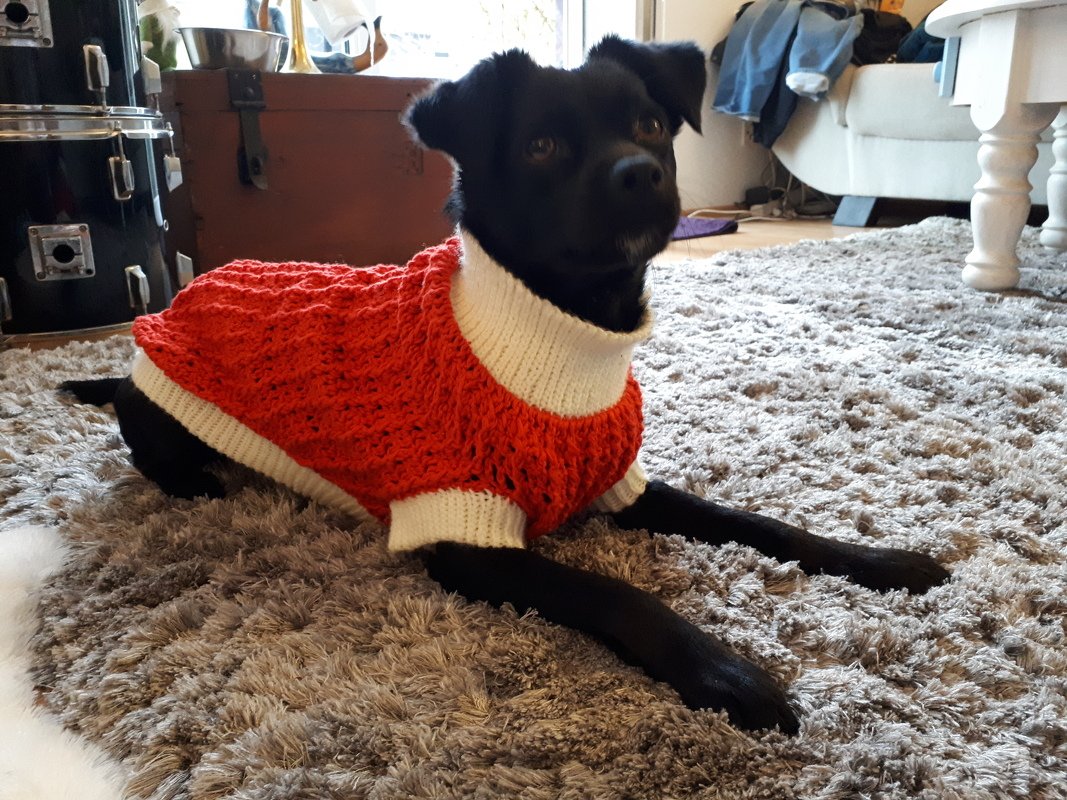 Anleitung Hundepullover 35cm gehäkelt - Bild 2