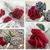 Rosen häkeln // Häkelblumen // Blumen häkeln // Geschenk häkeln