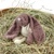 Hase gehäkelt (Filzhase) oder ungefilzt