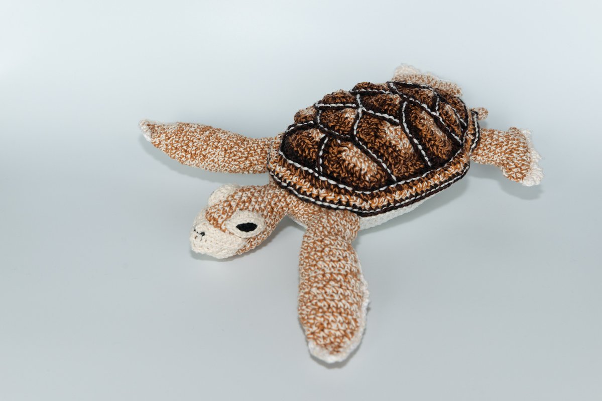 Crochet Pattern for Shila the Green Sea Turtle - Image 9