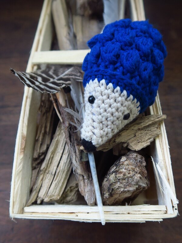 Gehäkelter Amigurumi-Igel mit blauem Rücken und beiger Schnauze in einer Holzkiste mit Holzstücken und Federn.