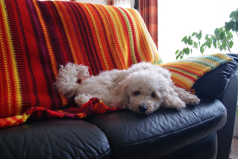 Temperaturdecke COZY (Größe 1,30 m x 2,25 m)