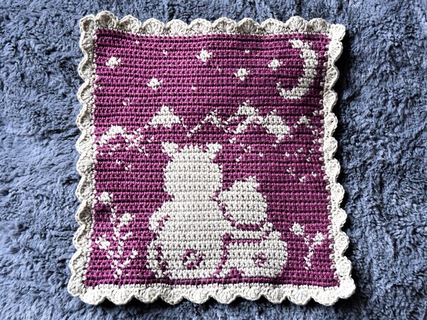 Crochet Pattern Washcloth "Bear Tobi - Night in the mountains"