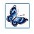 Häkelmuster * MORPHO - SCHMETTERLING * Grafik für FM Decke