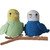 Crochet Pattern Budgie´s Jamie & Flocke!
