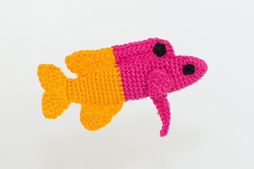 Häkelanleitung für einen Königs-Feenbarsch