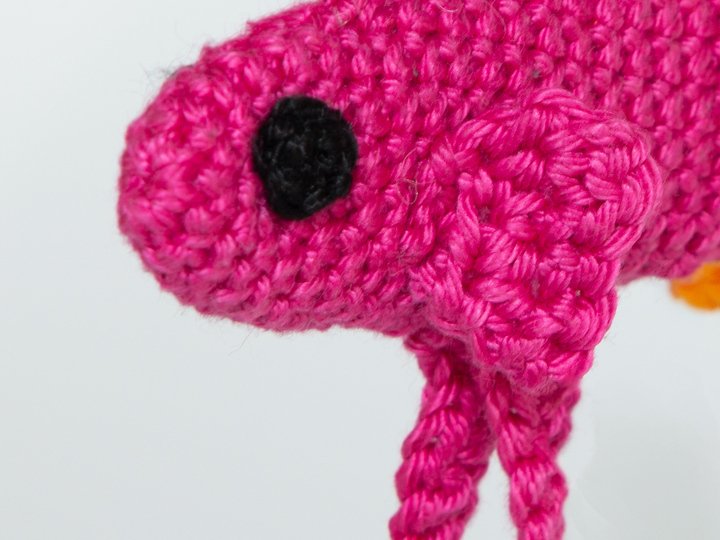 Häkelanleitung für einen Königs-Feenbarsch