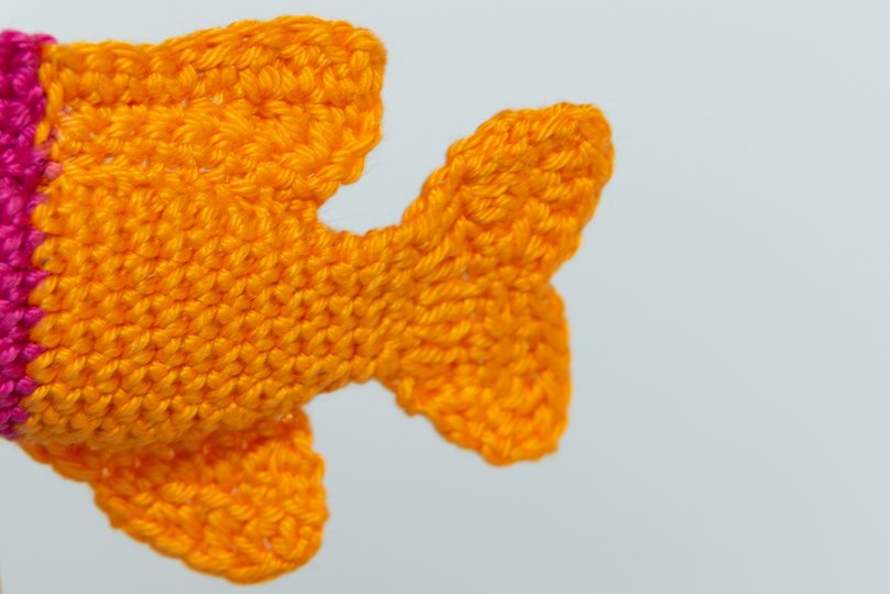 Häkelanleitung für einen Königs-Feenbarsch