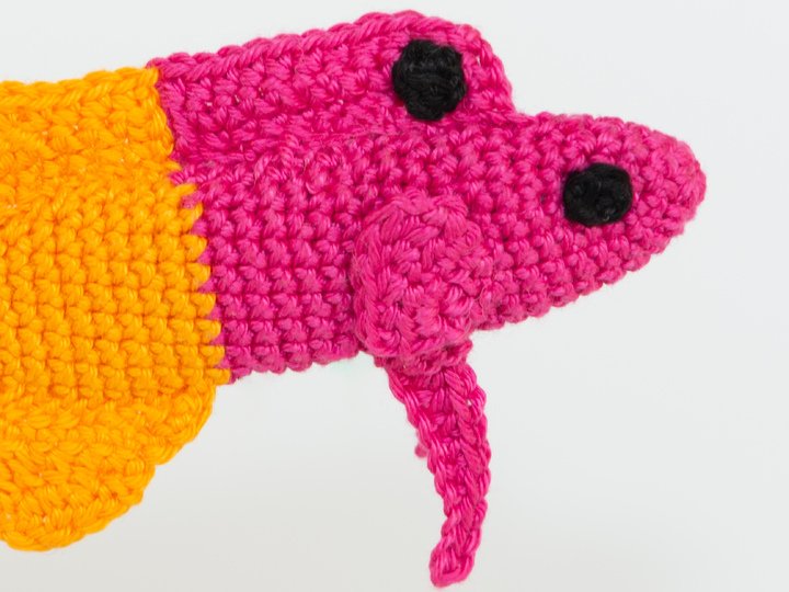 Häkelanleitung für einen Königs-Feenbarsch