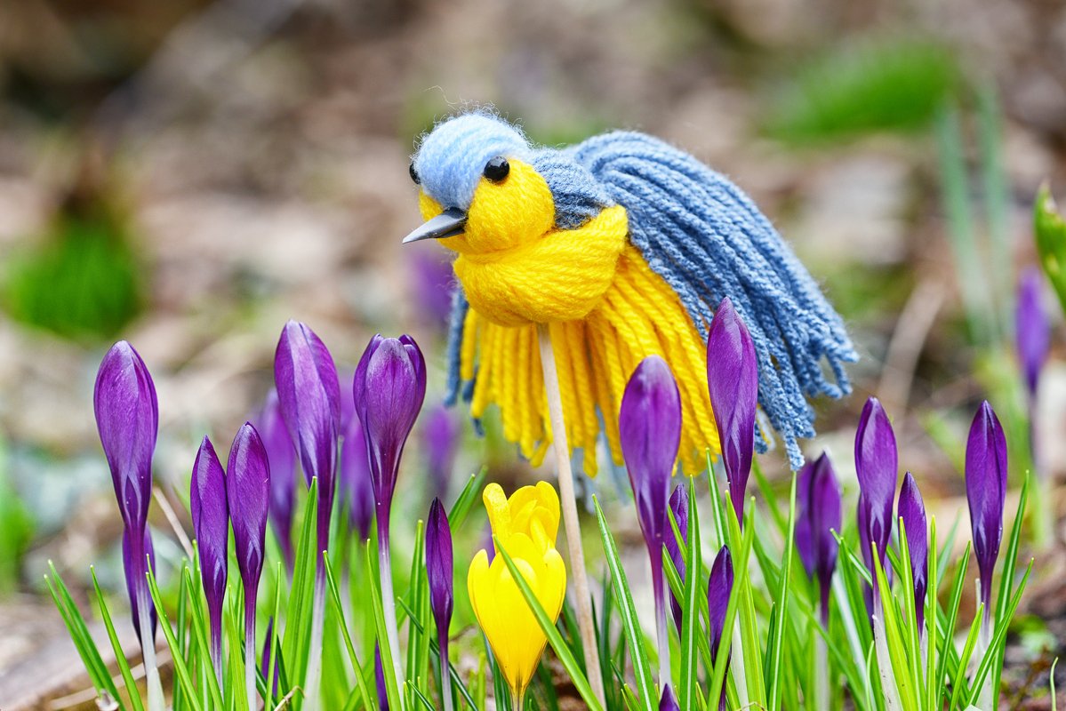 Anleitung Bastele die lustige Garnvogel- Blaumeise - Bild 4