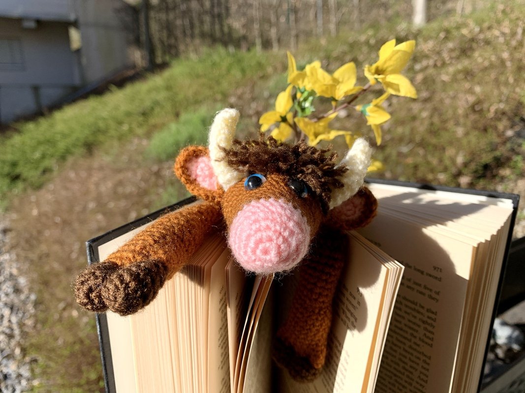 Pattern bookmark highland cattle Scotty