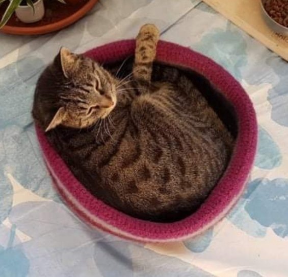 Häkelanleitung Marions gefilzter Katzenkorb - Bild 2