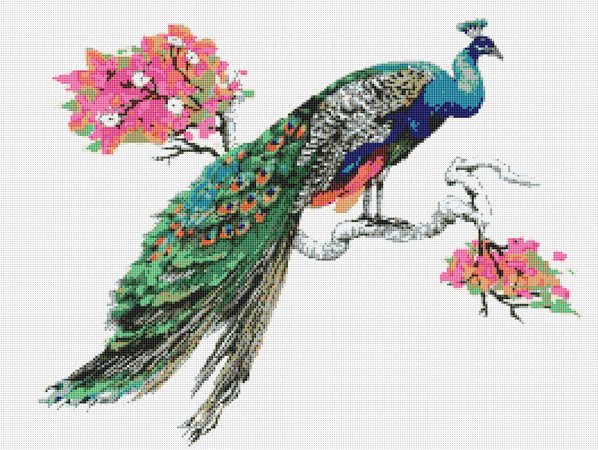 Peacock 6 Cross Stitch Pattern PDF