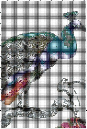 Peacock 6 Cross Stitch Pattern PDF