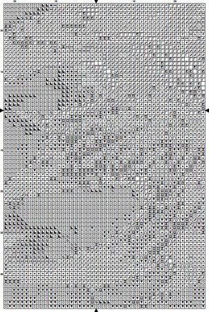 Protea 3 Cross Stitch Pattern PDF