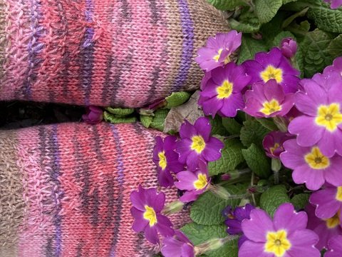 Susans Socks - Socken Anleitung
