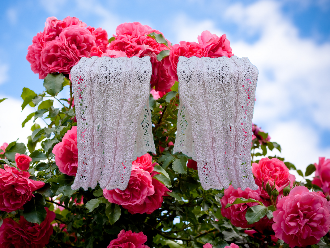 Zwei weiße gestrickte Spitzenschals drapiert über pinken Rosen vor blauem Himmel