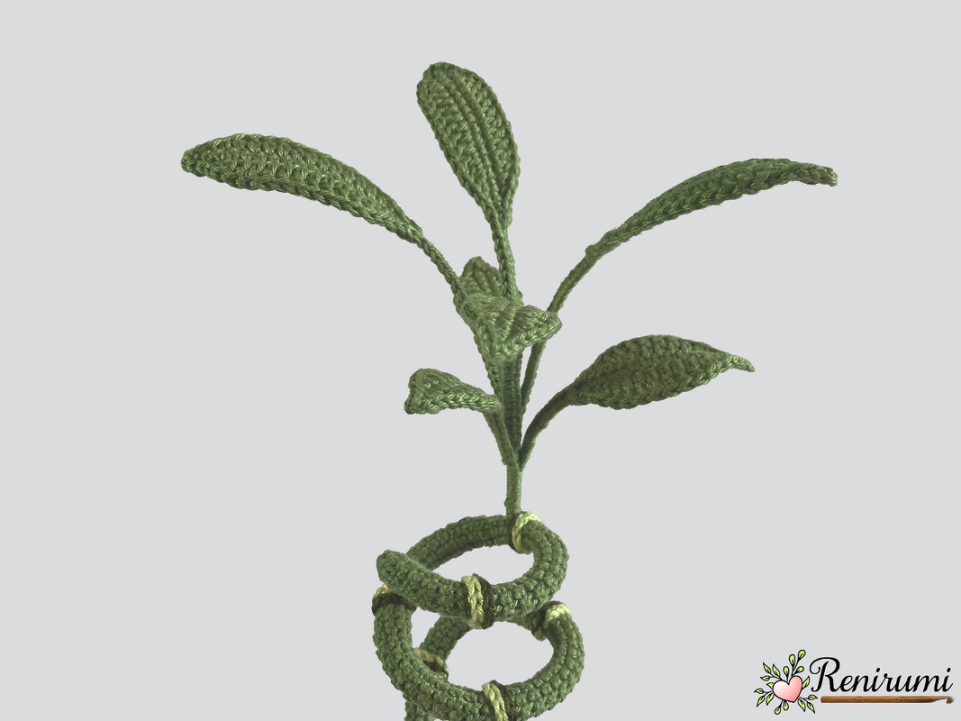 Green crocheted plant with elongated leaves and intertwined circular base on light background