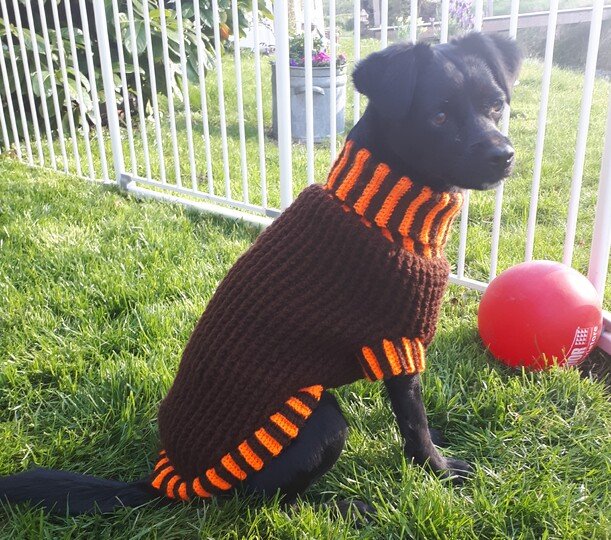 Anleitung Warmer und dicker Hundepullover 38cm gehäkelt, Größe anpassbar