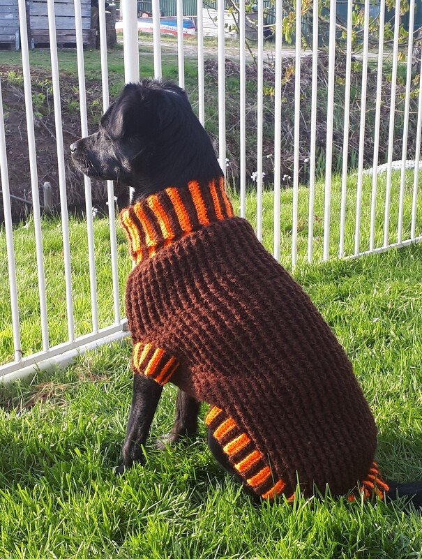 Anleitung Warmer und dicker Hundepullover 38cm gehäkelt, Größe anpassbar - Bild 2