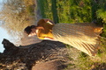 Slide 20 von 61
