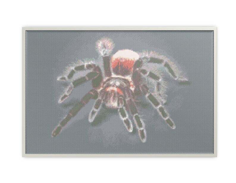 Spider tarantula cross stitch pattern