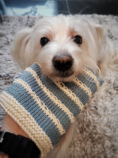 Kettline Waschhandschuh Strickanleitung