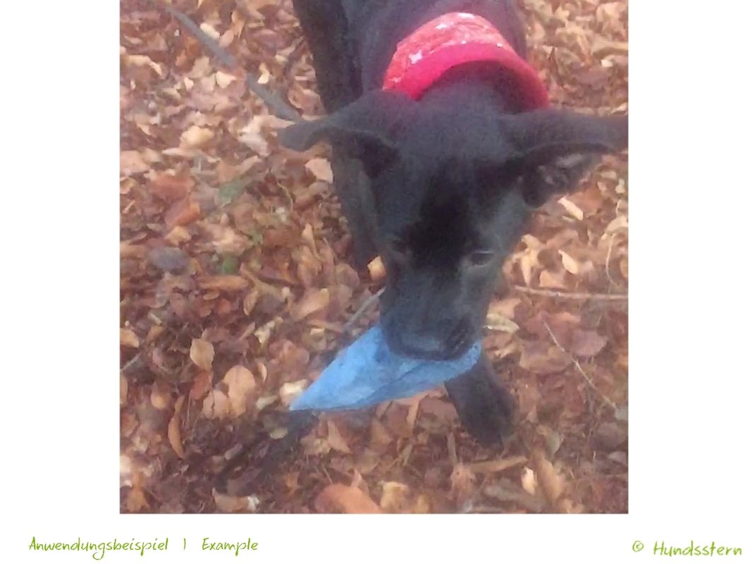 MADRIN Food Training Dummy in 2 sizes. Sewing Pattern - Image 4