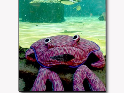 Kuschelkissen in krabbenform Schnittmuster und Nähanleitung "Macario"