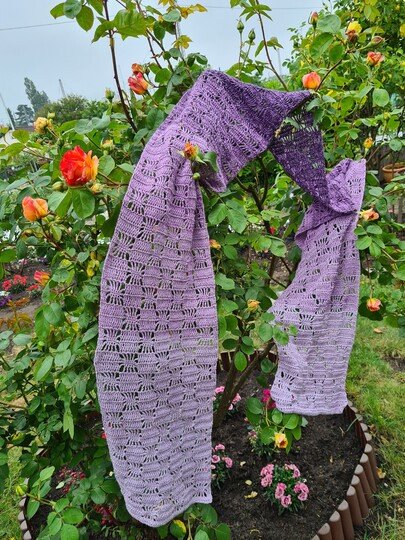 Speedy Stars - Schal/Stola *anfängerfreundlich & fernsehtauglich*