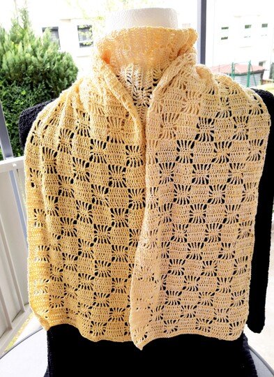 Speedy Stars - Schal/Stola *anfängerfreundlich & fernsehtauglich*