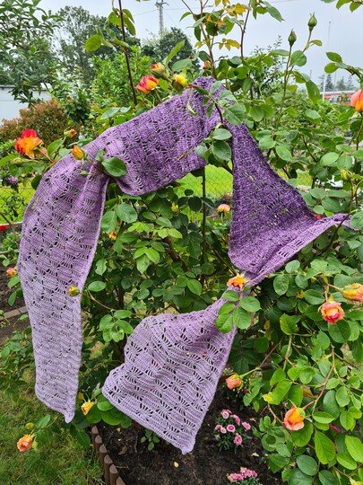 Speedy Stars - Schal/Stola *anfängerfreundlich & fernsehtauglich*