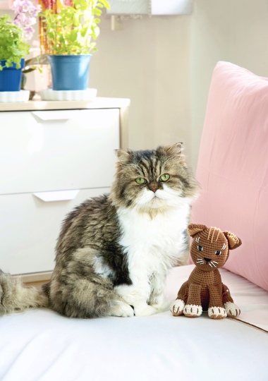 Anleitung Brownie die Katze