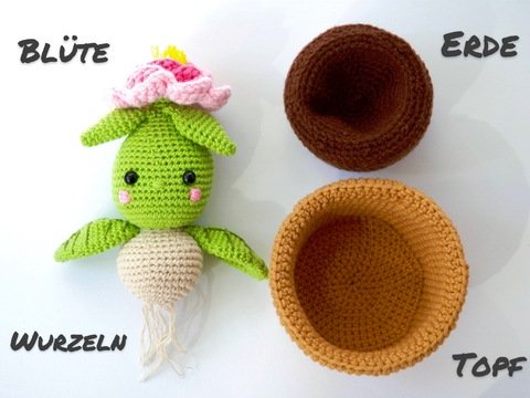 Anleitung Pfingstrose im Blumentopf