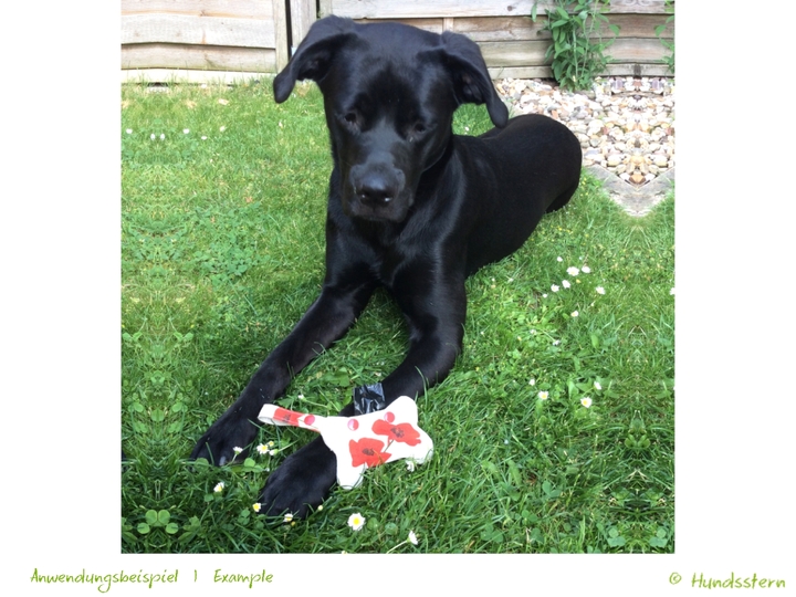 WALKIES BONE V2 Poo Bag Pouch with lining. Sewing Pattern