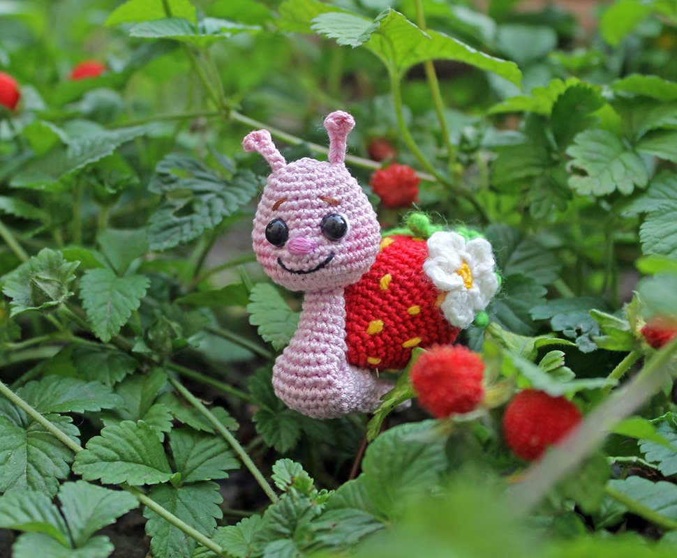 Fruchtschnecken - Bild 2