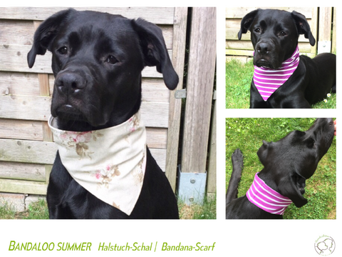 BANDALOO Summer. Dog bandana-scarf in 8 sizes. Sewing Pattern