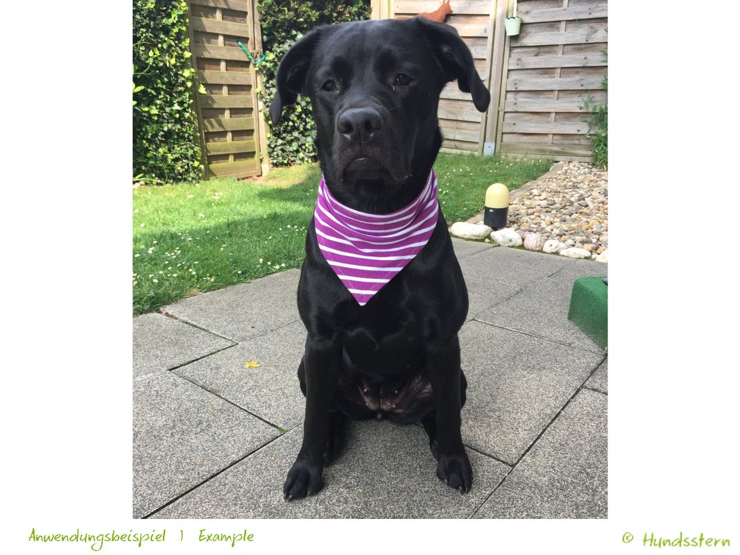 BANDALOO Summer. Halstuch-Schal Anleitung + Schnitt