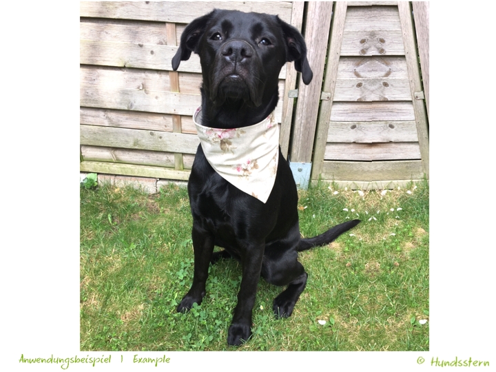 BANDALOO Summer. Dog bandana-scarf in 8 sizes. Sewing Pattern