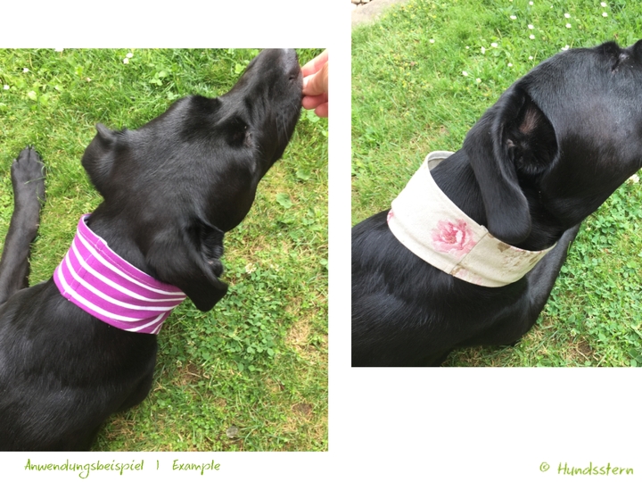 BANDALOO Summer. Dog bandana-scarf in 8 sizes. Sewing Pattern