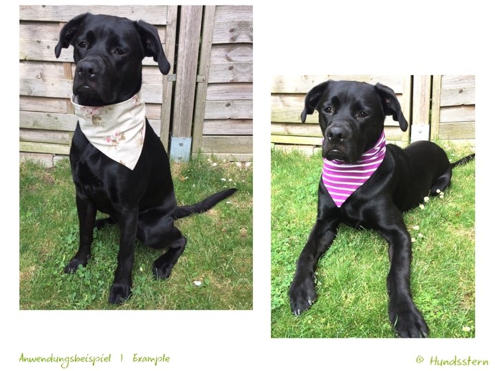 BANDALOO Summer. Dog bandana-scarf in 8 sizes. Sewing Pattern