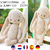 Crochet Little Bunny Pattern
