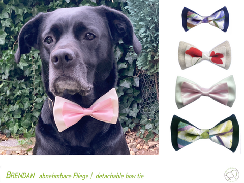 BRENDAN detachable Bow Tie for dogs in 4 sizes Sewing Pattern